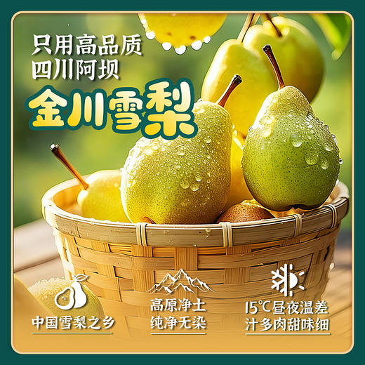 叶开泰纯梨膏130g，只有梨零添加，宝宝也能喝 商品图1