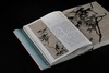 【新书】《三家门下转轮来：徐渭 八大山人 吴昌硕 齐白石》，北京画院 编，特8开，精装，西泠印社出版社2025年12月一版一印。定价598，售价398元。现货。 商品缩略图10