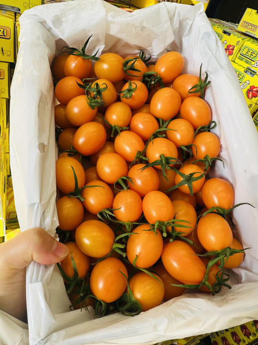 香芒皇后番茄 商品图13