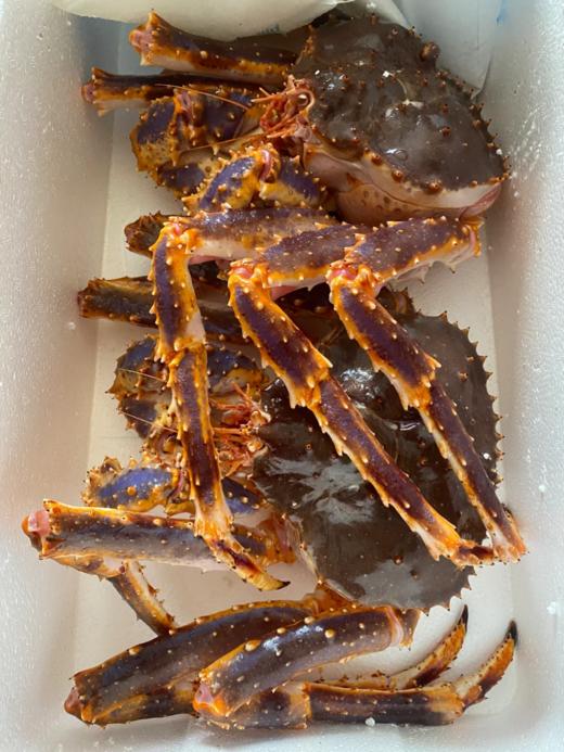 & 年底抢手货！！大帝王蟹🦀包鲜包肥满肉！送礼自家吃都🉑【活冻】 商品图5