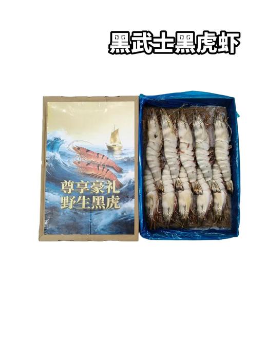 黑武士船冻黑虎虾　单只长度30厘米上下 商品图0