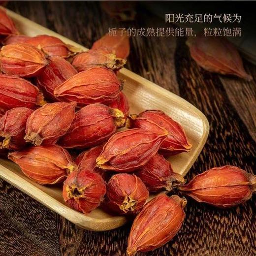 【MLT】干栀子 商品图2