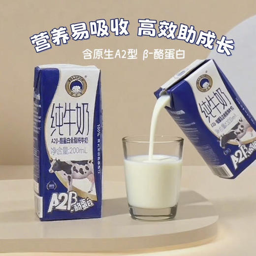 欧德福A2全脂牛奶200ml 商品图0