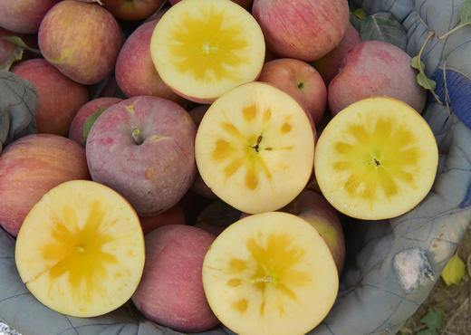 新疆阿克苏苹果（冰糖心） 国家地里标志保护产品 | 有机转换认证 | 绿色食品 商品图7