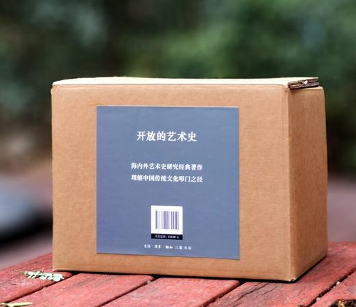 《开放的艺术史》丛书，共10册，平装，三联书店2021年一版一印，总定价838元，售价299元。非偏远地区包邮 商品图0