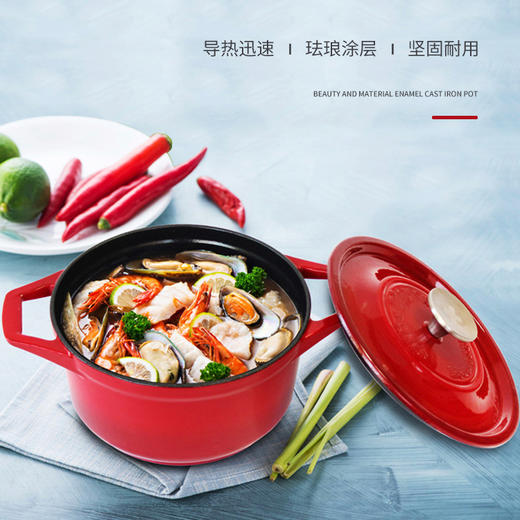 德国博朗菲Borownfie 珐琅铸铁锅 珐琅涂层 煎焖煮涮样样行 20cm直径 2.5L容量 3色可选 商品图0