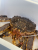 & 年底抢手货！！大帝王蟹🦀包鲜包肥满肉！送礼自家吃都🉑【活冻】 商品缩略图6