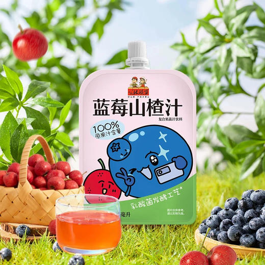 公社联盟蓝莓山楂汁110ml 商品图0