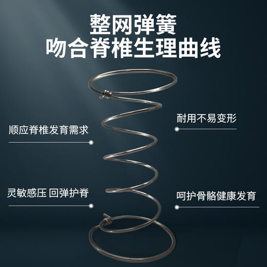 慕思（de RUCCI）床垫 1.5乳胶床垫透气床垫子双面两用床垫慕斯棕垫青少年垫子 乳胶脊垫-MKA2-039A/17cm 1.2*2米/1.5*2米 商品图5