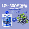 圆蓝NFC蓝莓原汁 90ml*10袋*1盒 商品缩略图2