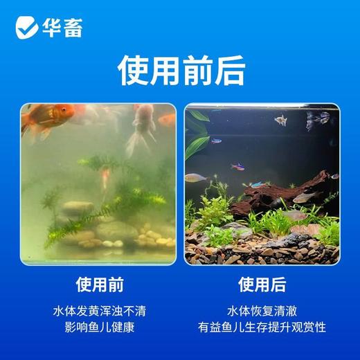 华畜电解生物活性酶去黄去浑净化水质必备分解粪便除水垢清洁鱼缸 商品图4