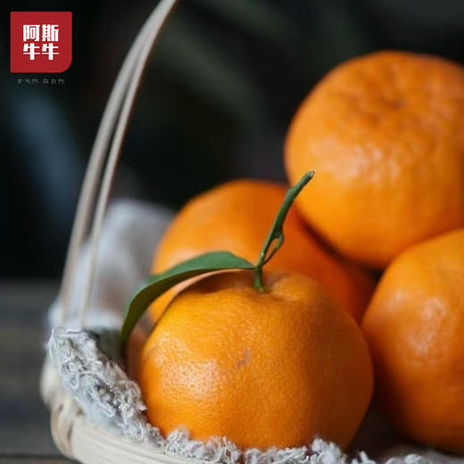 2026 四川春间耙耙柑 新鲜应季 产地直发 商品图2