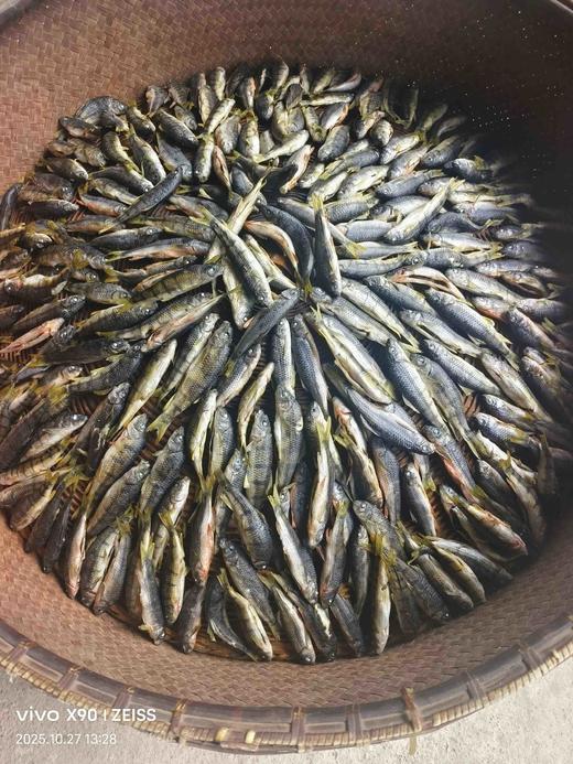 临安昌化石斑鱼干250克 商品图3