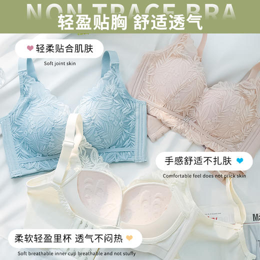 【活动价49元1件，89元2件】舒适透气贴合蕾丝文胸-夏菊 商品图7