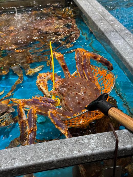 & 年底抢手货！！大帝王蟹🦀包鲜包肥满肉！送礼自家吃都🉑【活冻】 商品图3