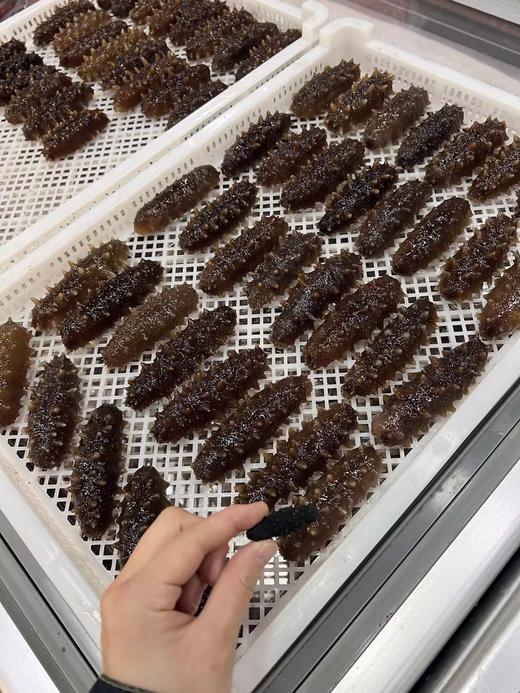 L'' 春季滋补推荐即食海参‼  特挑精品即食海参限量1000头 商品图4