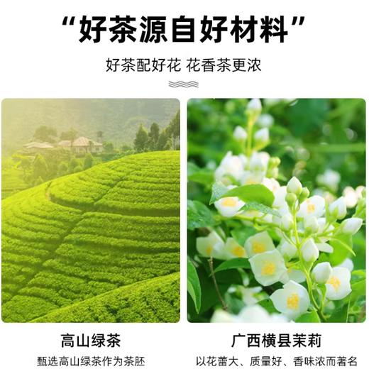 500g 果仙尼 高香茉莉花茶 茉香奶绿水果茶奶茶店专用茶底原料 商品图1