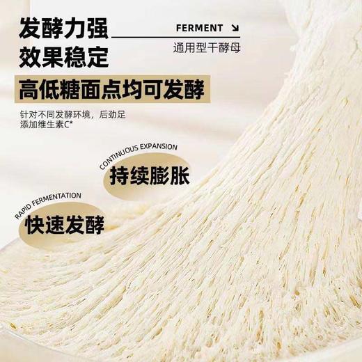 【MLT】酵母 商品图2