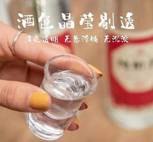 口粮酒纯粮老字号，第二天不上头，汇丰德纯粮酒 纯粮酿造 百年老字号 纯粮食酒浓香型白酒 入口柔 酒花饱满均匀基地直邮 商品图2