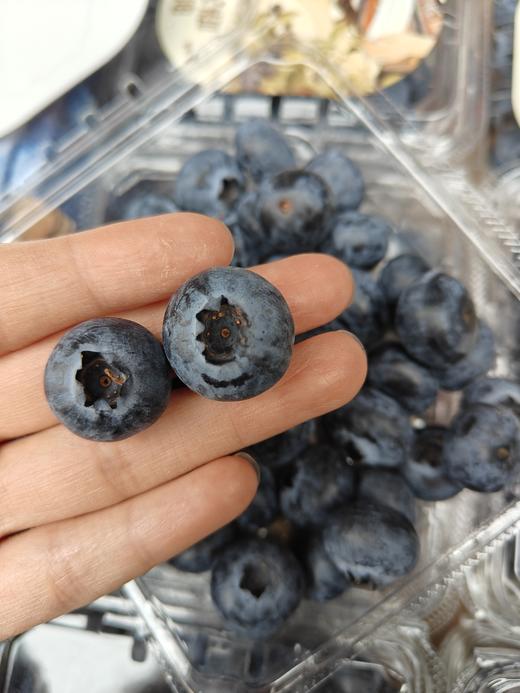 大颗粒花香蓝莓，软糯甜非脆甜，硬度很好 果粉足，富含花青素，改善视力，汁多味美，个人口感问题不退换 商品图5