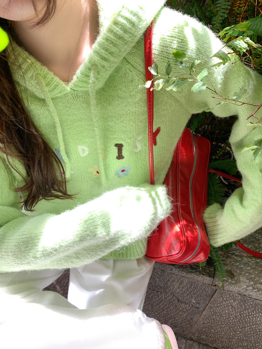 <曾小咸推荐>现货秒杀 ！微信超特价！字母连帽针织毛衣 日常199.99 立减110 秒杀89.99！！ 商品图9