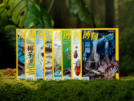 《博物》杂志2026全年订12期|《中国国家地理》出品，少儿科普界扛把子，话题潮、内容潮、设计潮，带孩子博采万物，观大千世界，阔眼界必读！ 商品图0