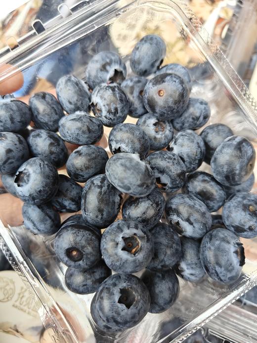 大颗粒花香蓝莓，软糯甜非脆甜，硬度很好 果粉足，富含花青素，改善视力，汁多味美，个人口感问题不退换 商品图3