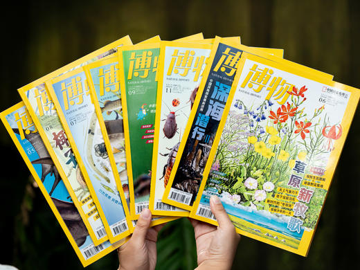 《博物》杂志2026全年订12期|《中国国家地理》出品，少儿科普界扛把子，话题潮、内容潮、设计潮，带孩子博采万物，观大千世界，阔眼界必读！ 商品图1