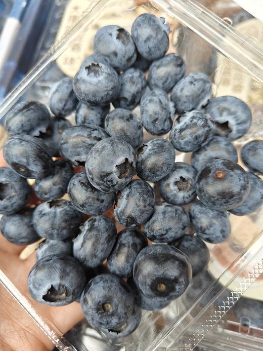 大颗粒花香蓝莓，软糯甜非脆甜，硬度很好 果粉足，富含花青素，改善视力，汁多味美，个人口感问题不退换 商品图6