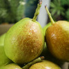 优选|新疆库尔勒香梨 果肉细腻少渣 清甜多汁  核小肉厚  5斤/8斤 商品缩略图6