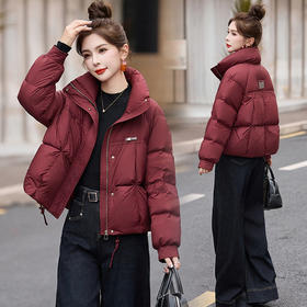 丁摩 冬季立领90白鸭绒羽绒服新款5ZF-9529