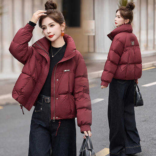 丁摩 冬季立领90白鸭绒羽绒服新款5ZF-9529 商品图0