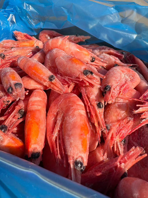 【团购价】渔礼记·顶级头籽甜虾（1公斤） 商品图6