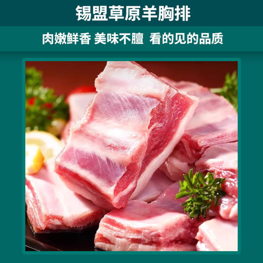 【发出后不支持拦截退货】牧森甄 乌珠穆沁旗草原溜达羊898型 4150g 商品图4