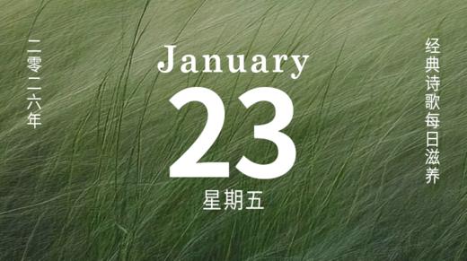 “自然”一直在那里，它本身，就是答案。 商品图0