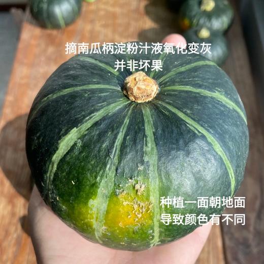 [最农公社]贝贝南瓜真粉真糯真贝贝  热量低营养美味  安全可靠的宝宝辅食 老少皆宜（详情页见检测表） 商品图8