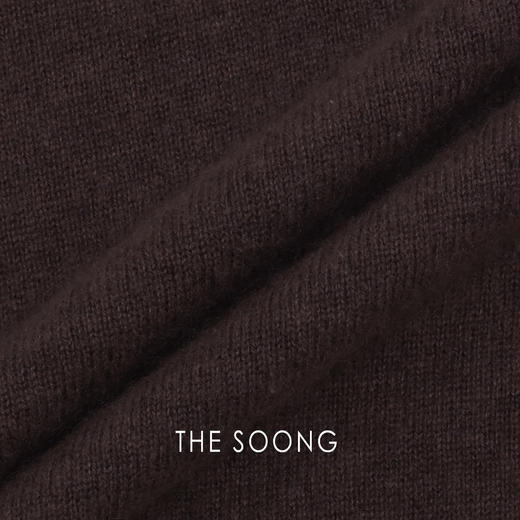 THESOONG|新款女装高级简约纯山羊绒立领黑色毛衣HLMY7881 商品图4