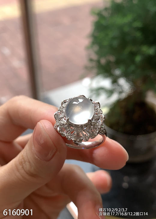 6160901，蛋面戒指。具体价格微信咨询 商品图3