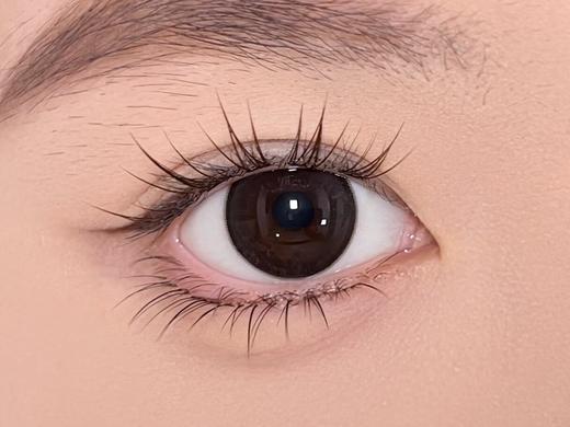 Curly Puppy半年抛美瞳 黑礁公园 14.2mm 商品图0