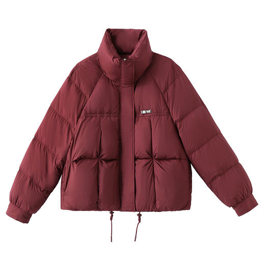 丁摩 冬季立领90白鸭绒羽绒服新款5ZF-9529 商品图4