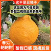 优选|四川蒲江春见耙耙柑  汁水充盈  酸甜细腻  现摘现发 3/5斤 商品缩略图2