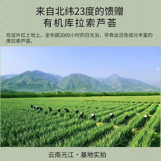 清仓特价 非临期 本批次保质期到2027年10月 乐活田园芦荟胶 商品图2