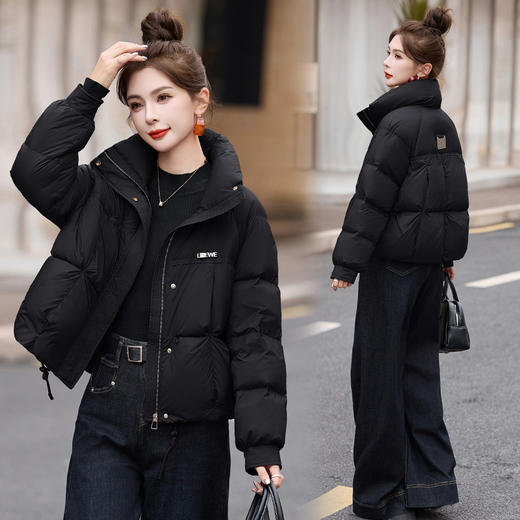 丁摩 冬季立领90白鸭绒羽绒服新款5ZF-9529 商品图2