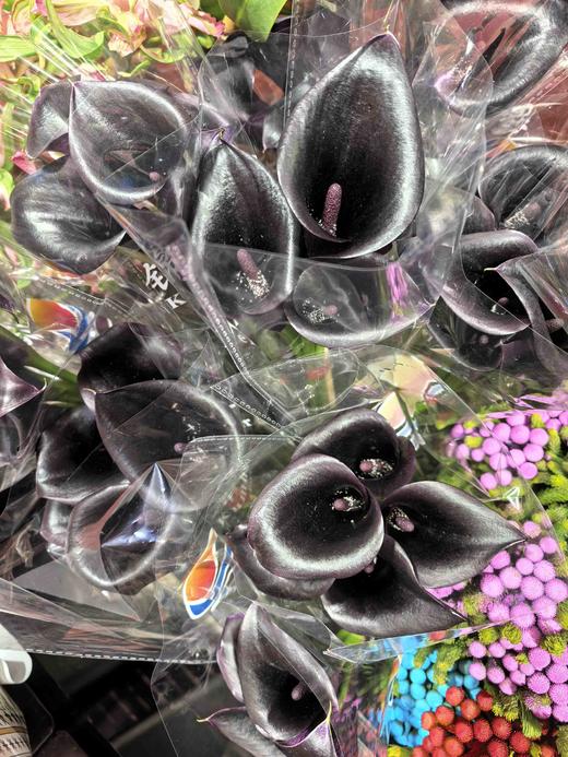 黑色马蹄莲5支 商品图2