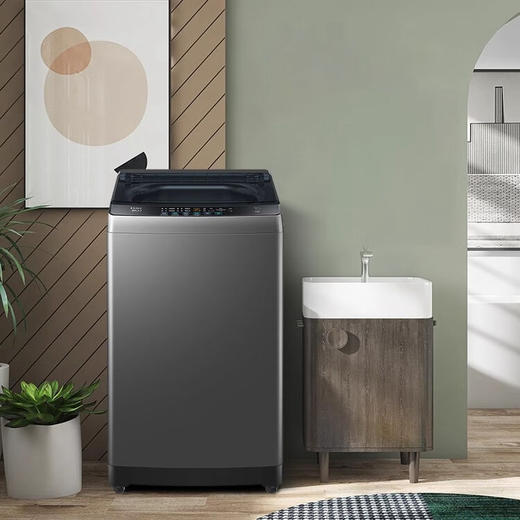 海尔（Haier）洗衣机 XQB120-BZ20C0 商品图0