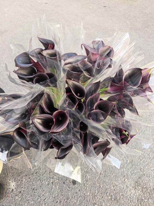 黑色马蹄莲5支 商品图3