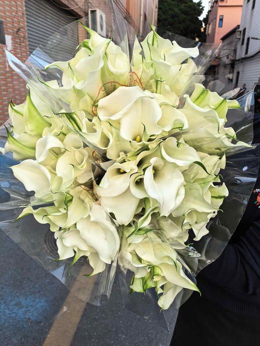 白色马蹄莲鲜花5支 商品图3