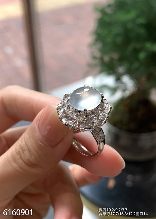 6160901，蛋面戒指。具体价格微信咨询 商品图2