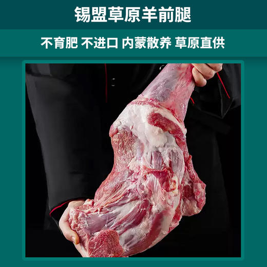 【发出后不支持拦截退货】牧森甄 乌珠穆沁旗草原溜达羊898型 4150g 商品图1