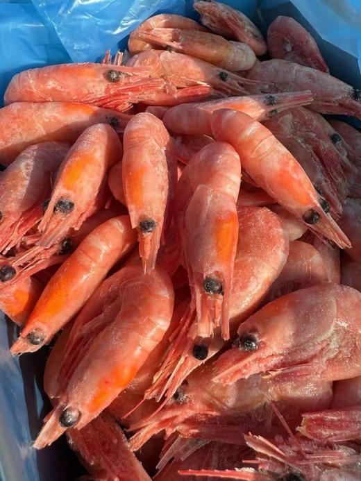 【团购价】渔礼记·顶级头籽甜虾（1公斤） 商品图5